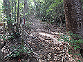 takataki051_thumb.png