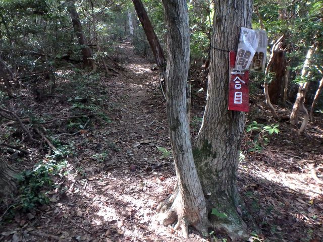 takataki052.jpg
