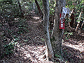 takataki052_thumb.png