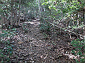 takataki053_thumb.png