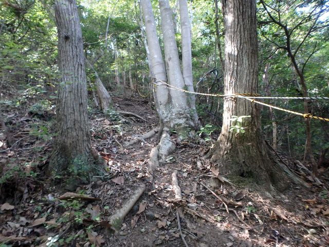 takataki054.jpg