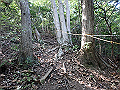 takataki054_thumb.png