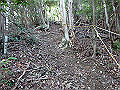 takataki055_thumb.png