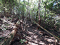 takataki056_thumb.png