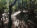 takataki057_thumb.png