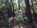takataki058_thumb.png