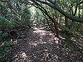 takataki059_thumb.png