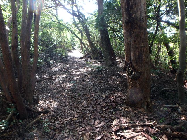 takataki060.jpg