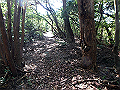 takataki060_thumb.png