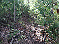 takataki061_thumb.png