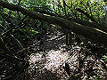 takataki062_thumb.png