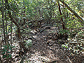 takataki063_thumb.png