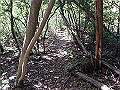 takataki064_thumb.png