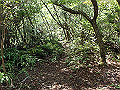takataki065_thumb.png