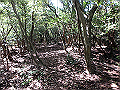 takataki066_thumb.png