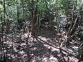 takataki067_thumb.png