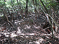 takataki068_thumb.png