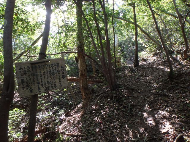 takataki069.jpg