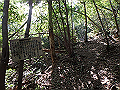 takataki069_thumb.png