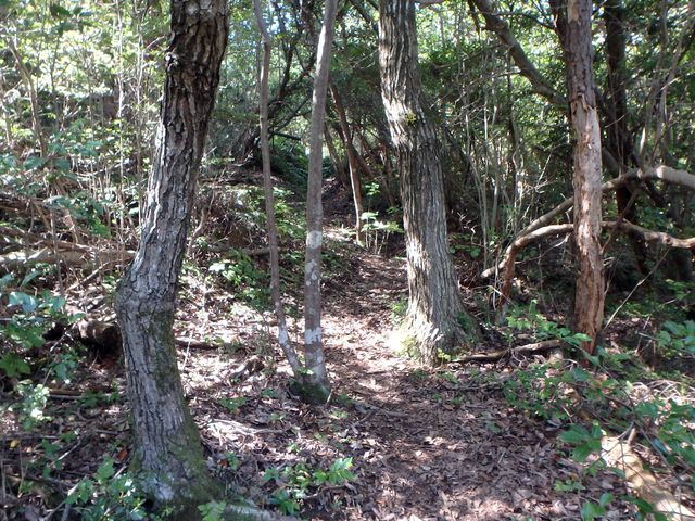 takataki070.jpg