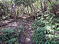 takataki071_thumb.png
