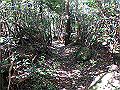 takataki073_thumb.png