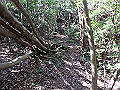 takataki074_thumb.png
