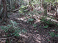 takataki075_thumb.png