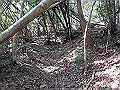 takataki076_thumb.png