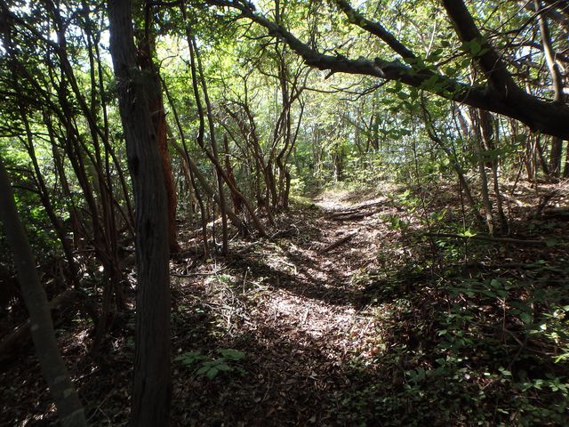 takataki077.jpg