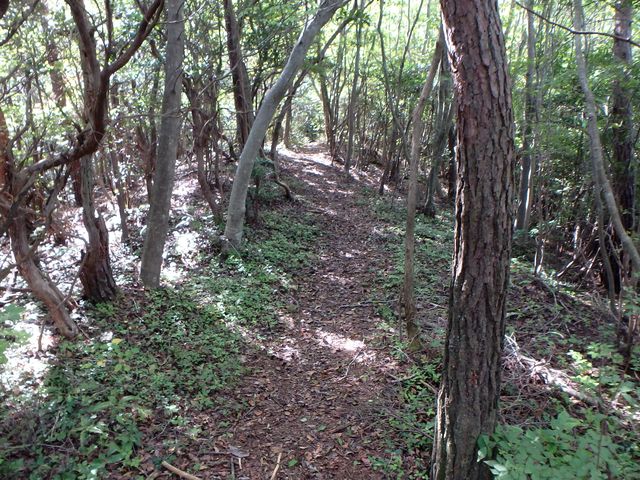takataki078.jpg