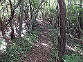 takataki078_thumb.png