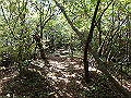 takataki079_thumb.png