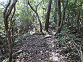 takataki080_thumb.png