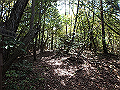 takataki081_thumb.png
