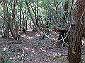 takataki082_thumb.png