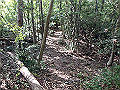 takataki083_thumb.png