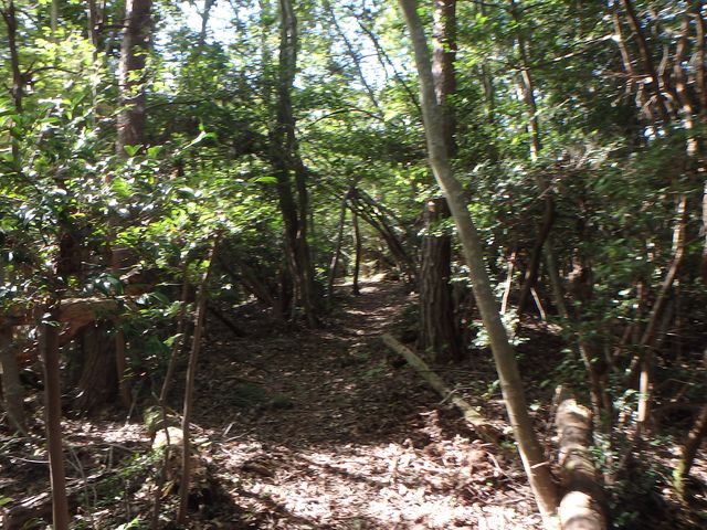 takataki084.jpg