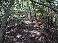 takataki085_thumb.png