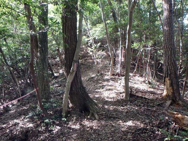 takataki086.jpg