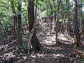 takataki086_thumb.png