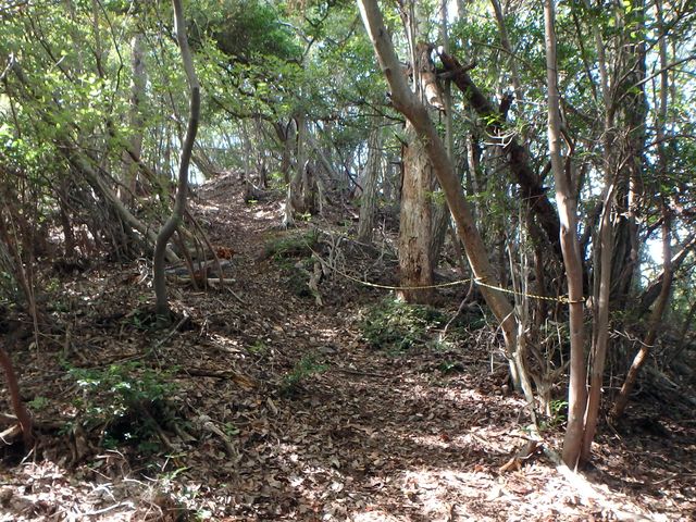 takataki087.jpg