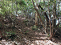 takataki087_thumb.png
