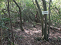 takataki088_thumb.png