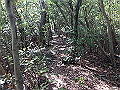 takataki089_thumb.png