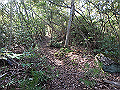 takataki090_thumb.png