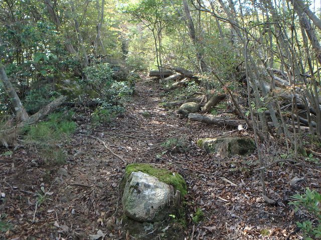 takataki091.jpg