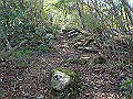 takataki091_thumb.png