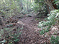 takataki092_thumb.png
