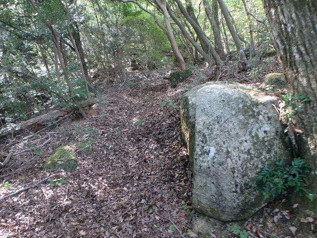 takataki093.jpg